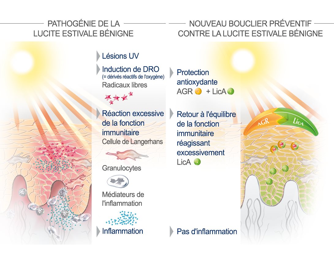 Le moyen efficace pour le blanchiment de la peau