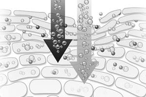 Scientifique dans un laboratoire